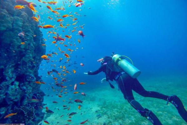 电竞成为体育项目的背景与发展趋势(图1)